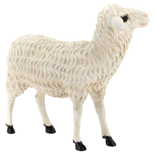 Figura owca stojąca włókno szklane, na zewnątrz, szopka Lando Landi 65 cm 4