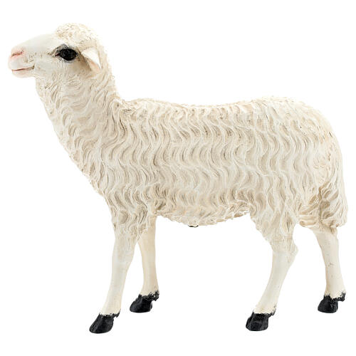 Estátua ovelha de pé 35 cm fibra de vidro pintada para presépio Landi altura média 65 cm; exterior 1