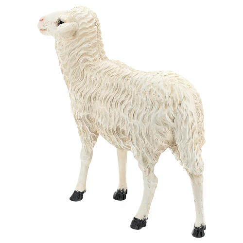 Estátua ovelha de pé 35 cm fibra de vidro pintada para presépio Landi altura média 65 cm; exterior 5