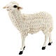 Estátua ovelha de pé 35 cm fibra de vidro pintada para presépio Landi altura média 65 cm; exterior s3