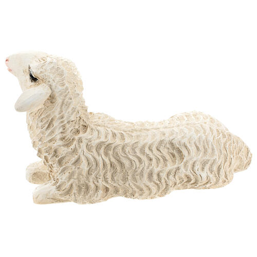 Sheep lying down, fibreglass statue painted for outdoor, Landi's Nativity Scene of 65 cm 5