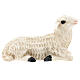 Sheep lying down, fibreglass statue painted for outdoor, Landi's Nativity Scene of 65 cm s1