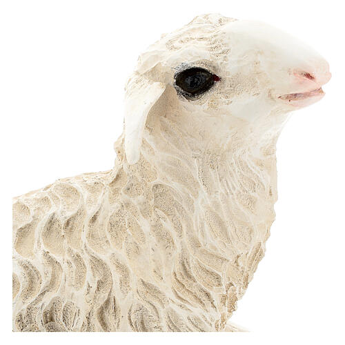 Statue mouton allongé fibre de verre crèche Landi 65 cm pour extérieur 2