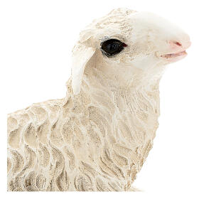 Estátua ovelha deitada 25 cm fibra de vidro pintada para presépio Landi altura média 65 cm; exterior