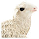 Estátua ovelha deitada 25 cm fibra de vidro pintada para presépio Landi altura média 65 cm; exterior s2