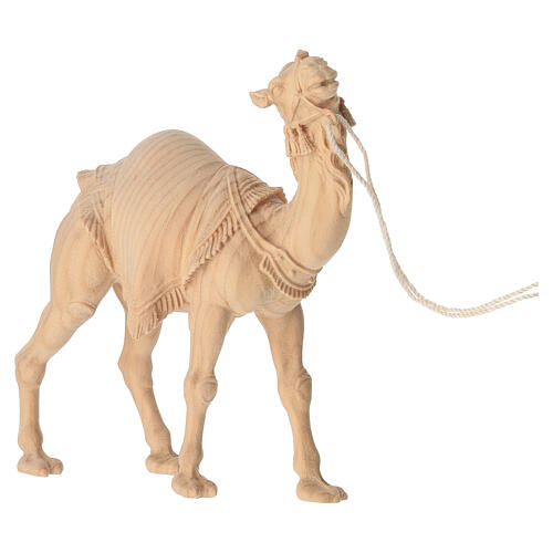 Stehendes Kamel, für 10 cm Grödner Krippe, Linie Montano Cirmolo, aus Naturholz 2