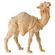 Camelo de pé 12 cm para presépio de montanha em madeira pinheiro cembro s1
