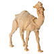 Camelo de pé 12 cm para presépio de montanha em madeira pinheiro cembro s2