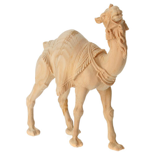 Standing camel in Mountain Pine in natural wood 12 cm nativity 2