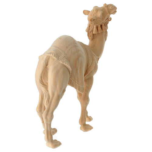 Standing camel in Mountain Pine in natural wood 12 cm nativity 4