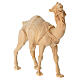 Standing camel in Mountain Pine in natural wood 12 cm nativity s2