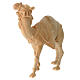 Standing camel in Mountain Pine in natural wood 12 cm nativity s3