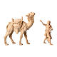 Camel and camel driver, set of 3, Mountain Nativity Scene of Swiss pinewood with 10 cm characters s1