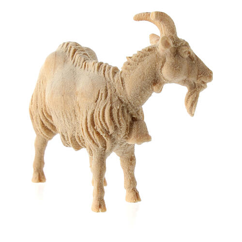 Pastor que ordeña con cabra Montano Cembro belén madera natural 10 cm  5