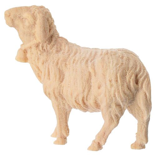 Schaf mit Glocke, für 10 cm Grödner Krippe, Linie Montano Cirmolo, aus Naturholz 4