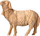 Schaf mit Glocke, für 10 cm Grödner Krippe, Linie Montano Cirmolo, aus Naturholz s1