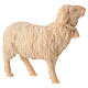 Sheep with bell, natural Swiss pinewood character for 10 cm Mountain Nativity Scene s3