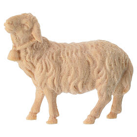 Mouton avec clochette crèche de montagne pin cembro naturel 10 cm