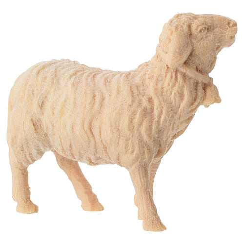 Pecora con campanella presepe legno naturale Montano Cirmolo 10 cm 3