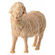 Sheep with bell in natural wood mountain pine nativity 10 cm s2