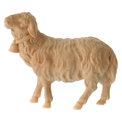 Schaf mit Glocke, für 12 cm Grödner Krippe, Linie Montano Cirmolo, aus Naturholz 1