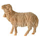 Schaf mit Glocke, für 12 cm Grödner Krippe, Linie Montano Cirmolo, aus Naturholz s1