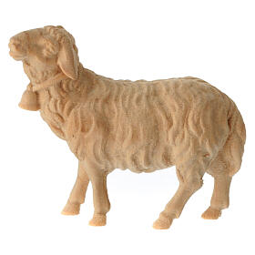 Sheep with a bell around the neck, natural Swiss pinewood figurine for 12 cm Mountain Nativity Scene