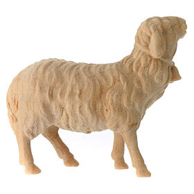 Sheep with a bell around the neck, natural Swiss pinewood figurine for 12 cm Mountain Nativity Scene