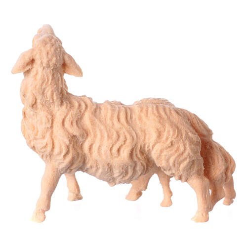 Mouton avec agneau crèche de montagne pin cembro naturel 10 cm 4