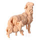 Pecora con agnello Montano Cirmolo presepe legno naturale 10 cm s3