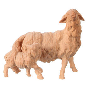 Sheep and lamb, natural Swiss pinewood figurine for 12 cm Mountain Nativity Scene