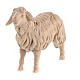 Schaf, nach vorn blickend, für 10 cm Grödner Krippe, Linie Montano Cirmolo, aus Naturholz s2