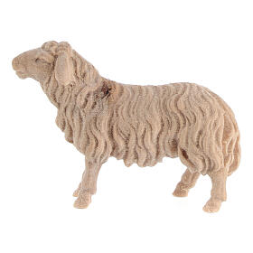 Sheep looking ahead, natural Swiss pinewood character for 10 cm Mountain Nativity Scene