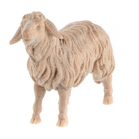 Sheep looking ahead, natural Swiss pinewood character for 10 cm Mountain Nativity Scene