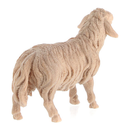 Mouton qui regarde devant soi crèche de montagne pin cembro naturel 10 cm 3