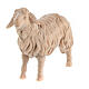 Mouton qui regarde devant soi crèche de montagne pin cembro naturel 10 cm s2