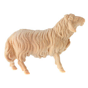 Pecora che guarda avanti Montano Cirmolo legno naturale 12 cm presepe