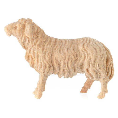 Pecora che guarda avanti Montano Cirmolo legno naturale 12 cm presepe 1