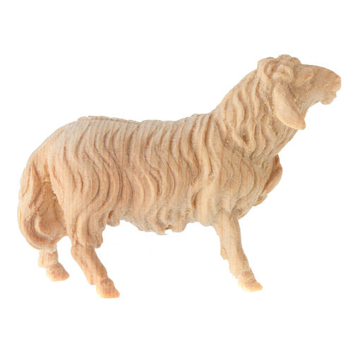 Pecora che guarda avanti Montano Cirmolo legno naturale 12 cm presepe 2