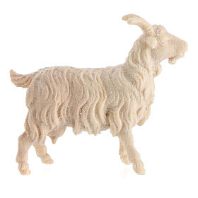 Capra Montano Cirmolo presepe legno naturale 10 cm