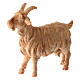 Goat, natural Swiss pinewood figurine for 12 cm Mountain Nativity Scene s2