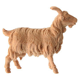 Chèvre crèche de montagne bois naturel pin cembro 12 cm