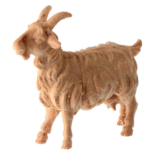Capra Montano Cirmolo legno naturale 12 cm presepe 2