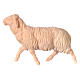 Running sheep for Mountain Nativity Scene of 10 cm, natural Swiss pinewood s2