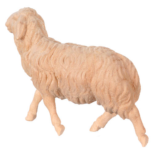Pecora che corre Montano Cirmolo legno naturale 12 cm presepe 2