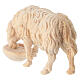 Drinking sheep for Mountain Nativity Scene of 10 cm, natural Swiss pinewood s3