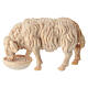 Pecora che beve Montano Cirmolo legno naturale presepe 10 cm s1