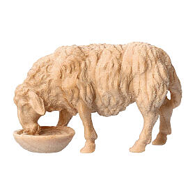Sheep drinking Montano Cirmolo natural wood nativity scene 10 cm