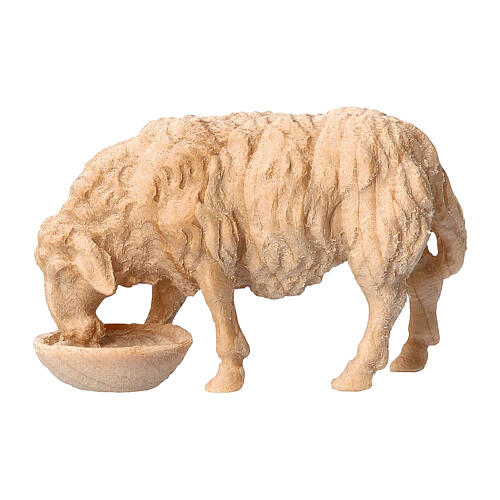 Sheep drinking Montano Cirmolo natural wood nativity scene 10 cm 1