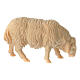 Eating sheep for Mountain Nativity Scene of 10 cm, natural Swiss pinewood s2